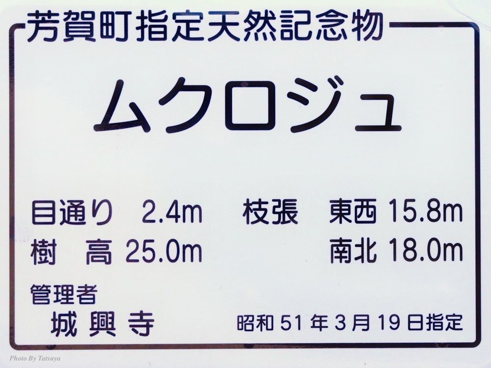 たつさんが投稿した城興寺（延生地蔵尊）に関する口コミの画像