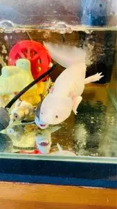 お好み焼かっちゃん 坂出本店