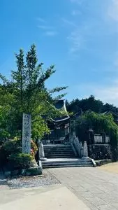 粟井神社のアジサイ