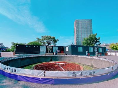 徳川家康公銅像 3枚目