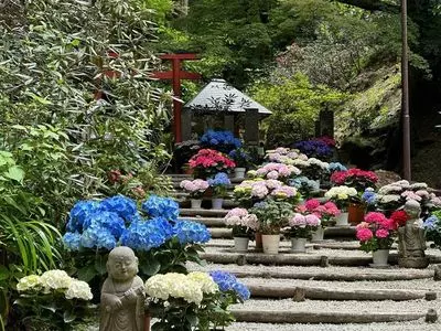 岡寺の三重塔