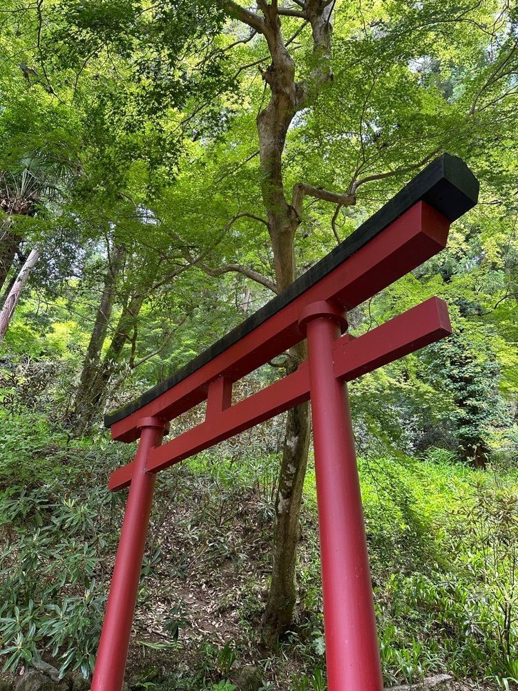 cocoa815さんが投稿した岡寺の三重塔に関する口コミの画像