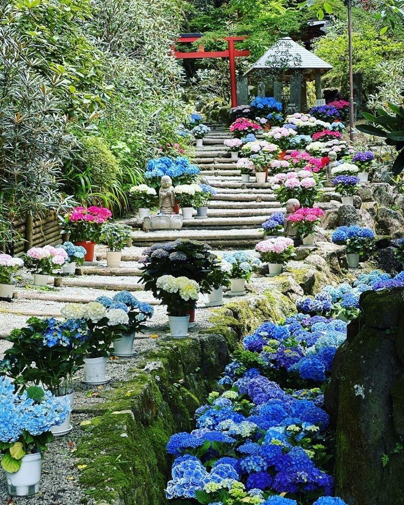 cocoa815さんが投稿した岡寺の三重塔に関する口コミの画像