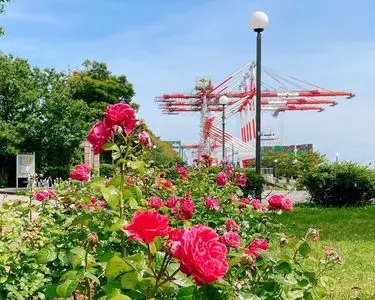 青海南ふ頭公園