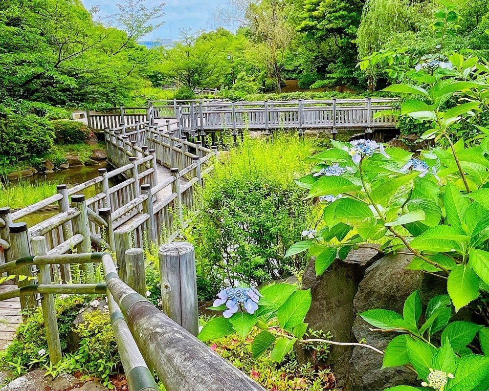 active34さんが投稿した青海南ふ頭公園に関する口コミの画像