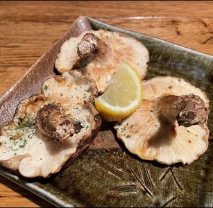 魚屋ちから 5枚目