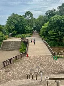 相模原麻溝公園フィールドアスレチック