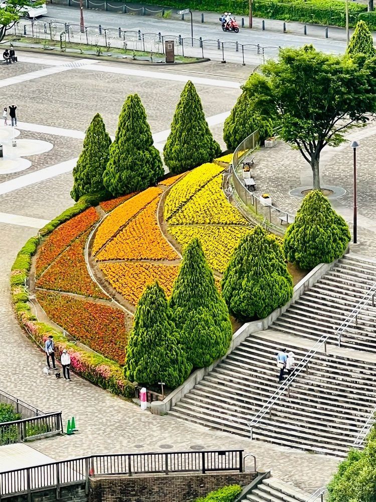 ビンカさんが投稿した相模原麻溝公園フィールドアスレチックに関する口コミの画像