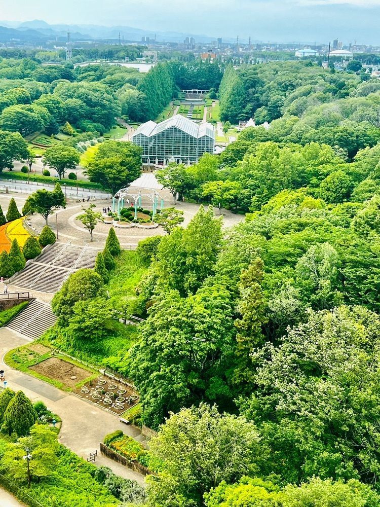 ビンカさんが投稿した相模原麻溝公園フィールドアスレチックに関する口コミの画像