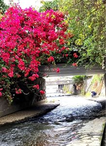 糸川遊歩道 3枚目