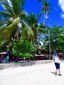 Bohol Island（ボホール島）