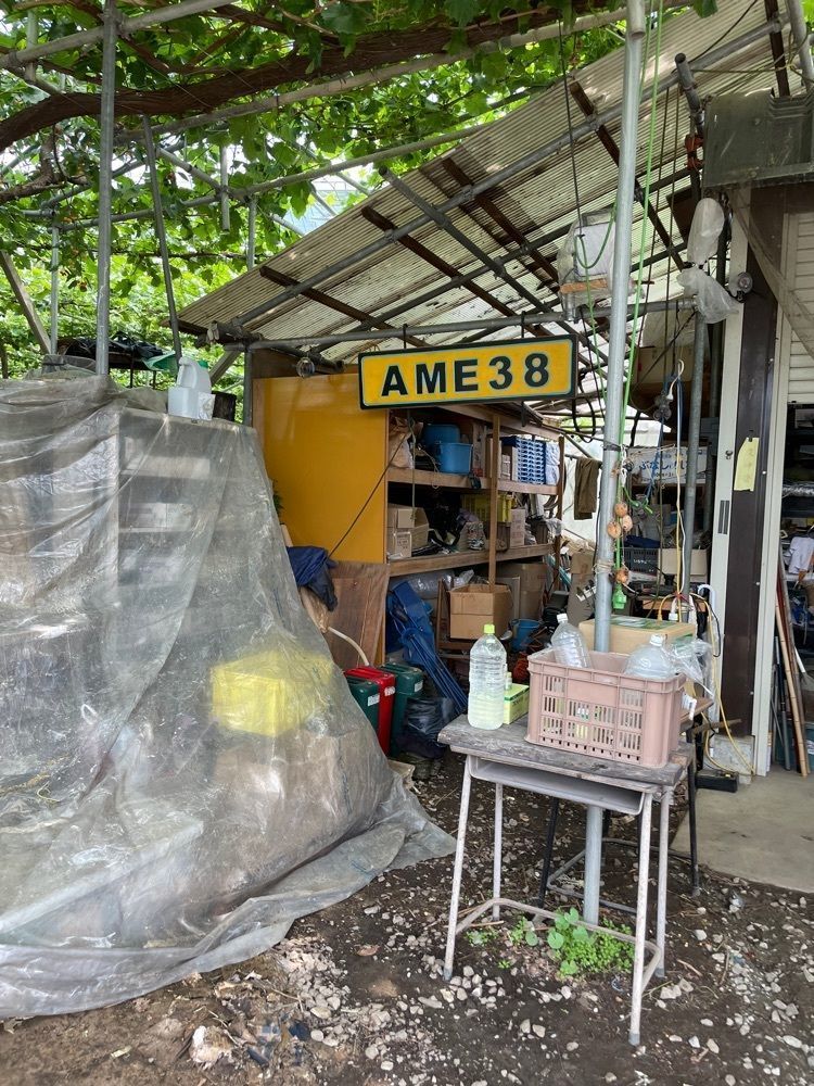 P-sanさんが投稿したさくらんぼ狩り AME38 farm(アメミヤファーム)に関する口コミの画像