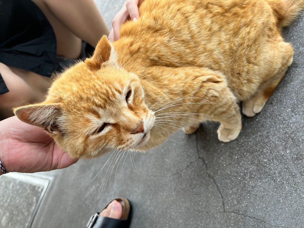 みみみさんが投稿した魚忠（くい処　魚忠）に関する口コミの画像