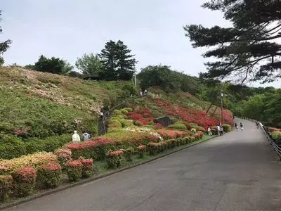 小室山公園