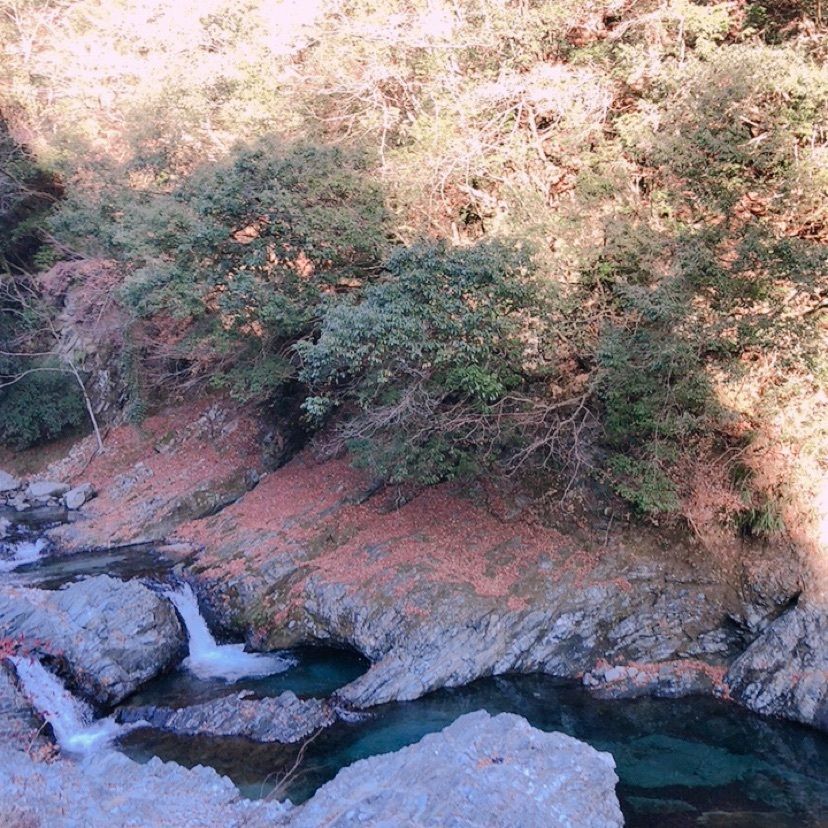 ホンキートンクさんが投稿した町立中川温泉ぶなの湯に関する口コミの画像