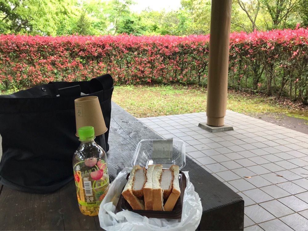ウツボさやかさんが投稿した奥野ダム 松川湖に関する口コミの画像