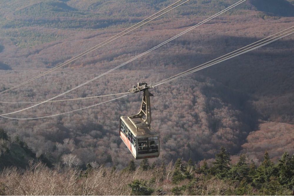 ｺﾔﾘﾅさんが投稿した八甲田山に関する口コミの画像