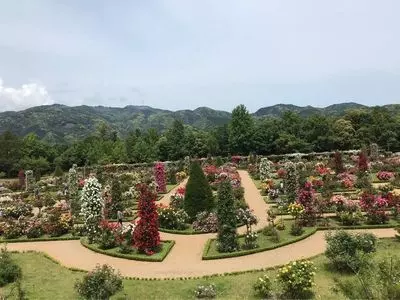 河津バガテル公園