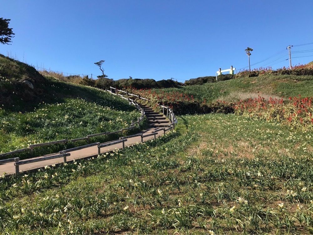 ウツボさやかさんが投稿した下田温泉旅館協同組合に関する口コミの画像
