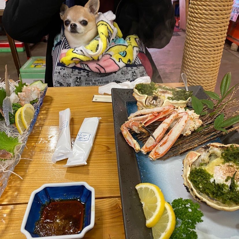 ぱんまひさんが投稿した東尋坊商店街に関する口コミの画像