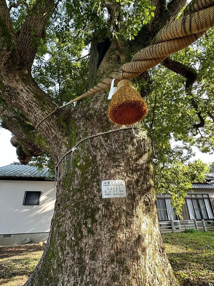BOM-BA-YEさんが投稿した山王神社二の鳥居（一本柱鳥居）に関する口コミの画像