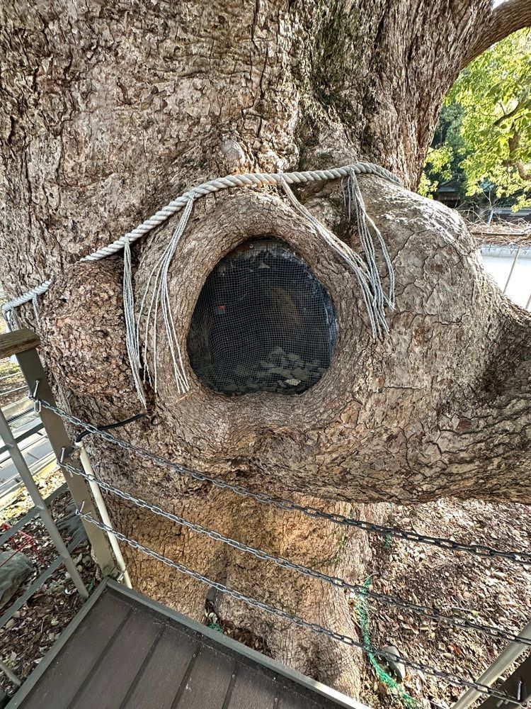 BOM-BA-YEさんが投稿した山王神社二の鳥居（一本柱鳥居）に関する口コミの画像