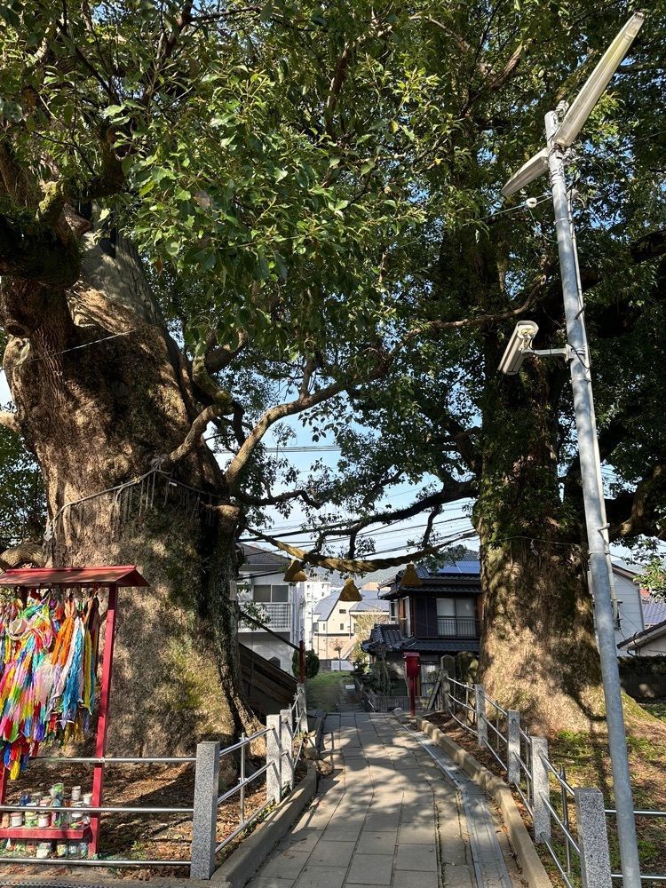 BOM-BA-YEさんが投稿した山王神社二の鳥居（一本柱鳥居）に関する口コミの画像
