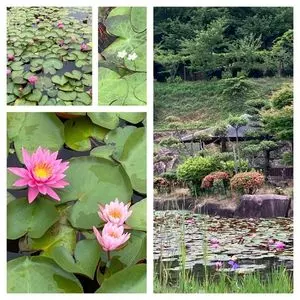 種松山公園西園地