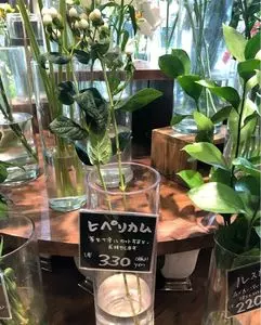 京王井の頭線 永福町駅