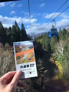 ドラゴンドラ