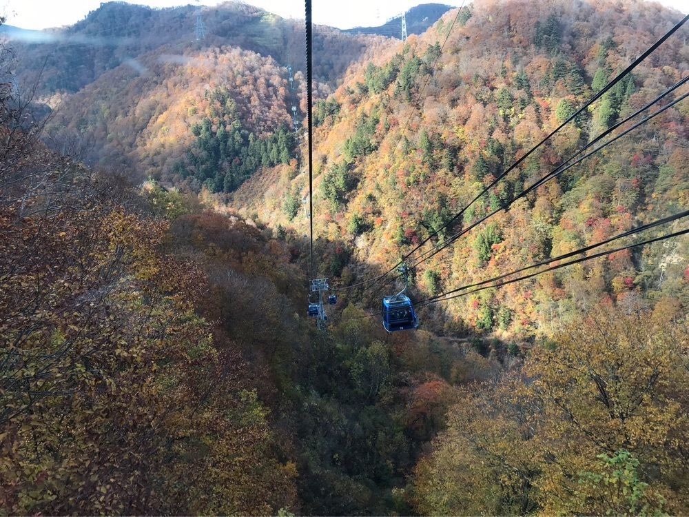 ウツボさやかさんが投稿したドラゴンドラに関する口コミの画像