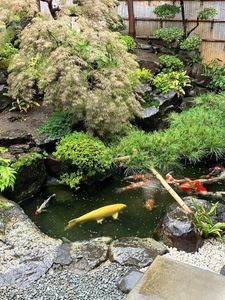 うなぎ割烹石水庭横内 3枚目