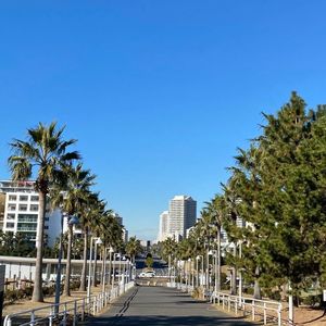 浦安市総合公園