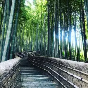 あだし野念仏寺