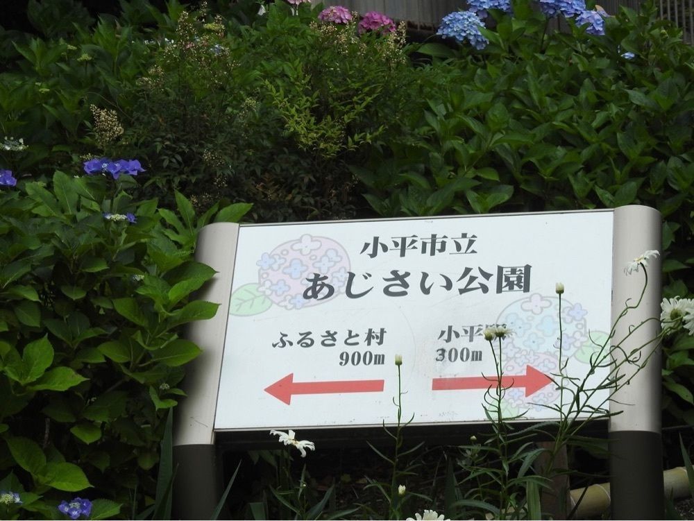 junkunさんが投稿したあじさい公園（東京都小平市）に関する口コミの画像