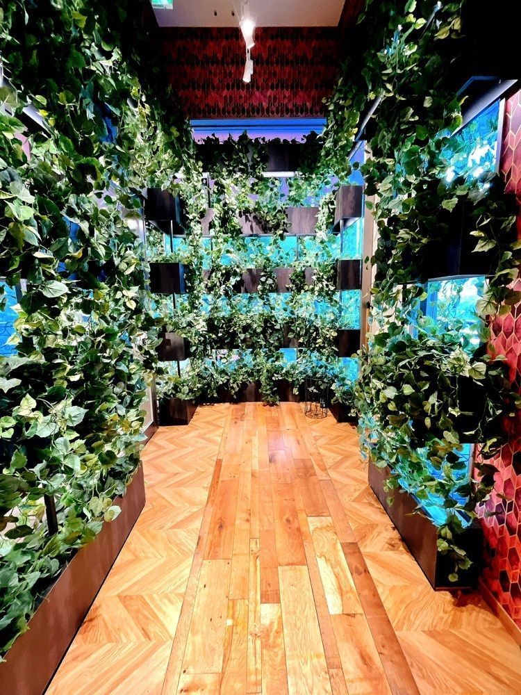 猫なぎ。さんが投稿したbiz creek cafe（ビズ クリーク カフェ）に関する口コミの画像