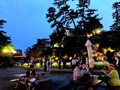 小田原城址公園のアジサイ