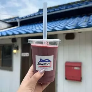 ブルールーフ（Blue Roof）