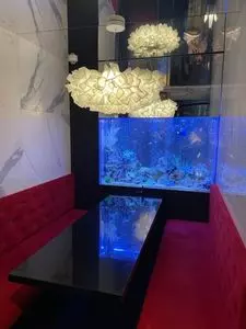 新宿 アクアリウムダイニング JeMare（ジェマーレ）