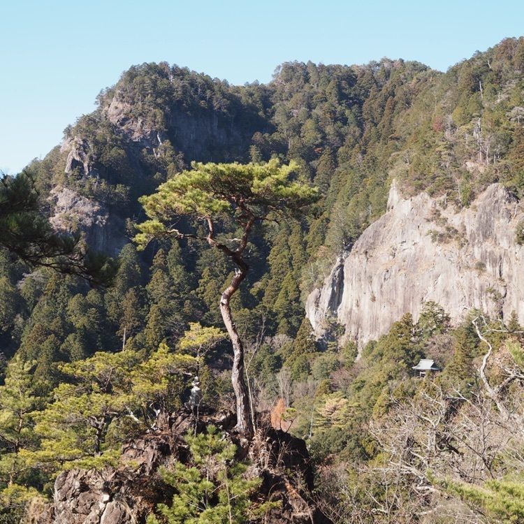なおなおさんが投稿した鳳来山東照宮に関する口コミの画像