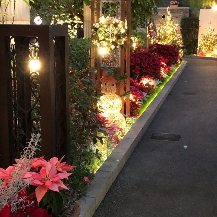 familiar_showtime_0dd6さんが投稿した花の散歩道に関する口コミの画像