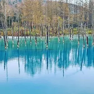 白金青い池
