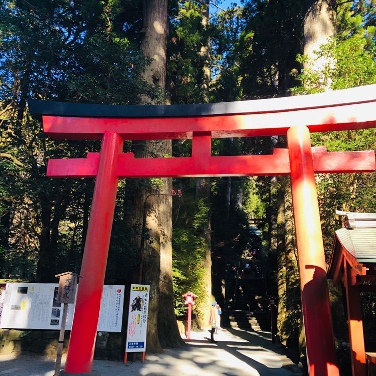 池ちゃんさんが投稿した箱根神社に関する口コミの画像