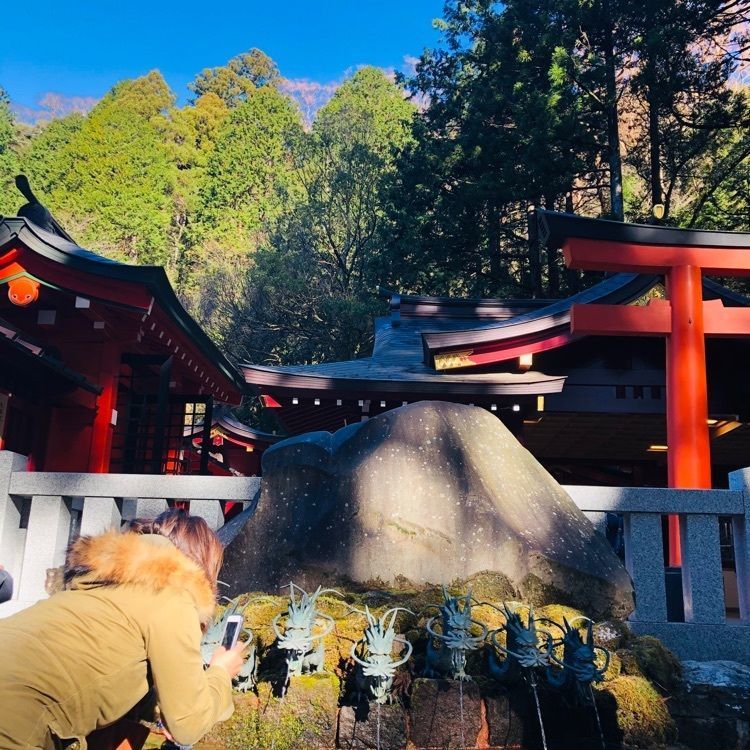 池ちゃんさんが投稿した箱根神社に関する口コミの画像