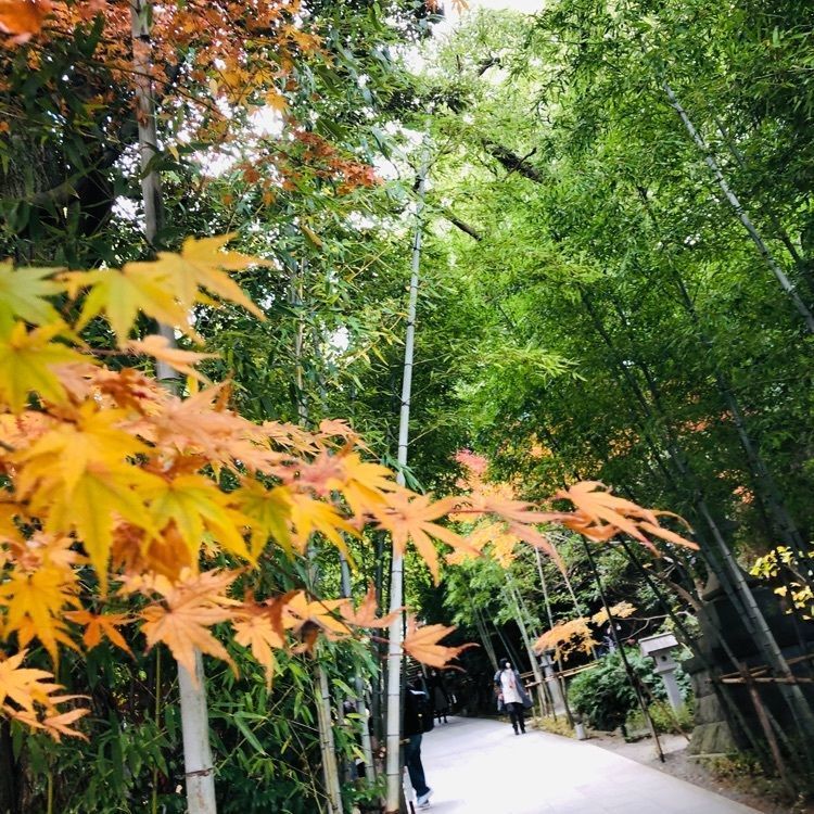 池ちゃんさんが投稿したいちごBonBonBERRY ATAMI HOUSE.（イチゴボンボンベリーアタミハウス）に関する口コミの画像