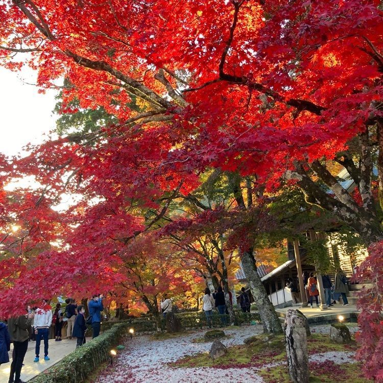 retro_event_e339さんが投稿した永源寺の紅葉に関する口コミの画像