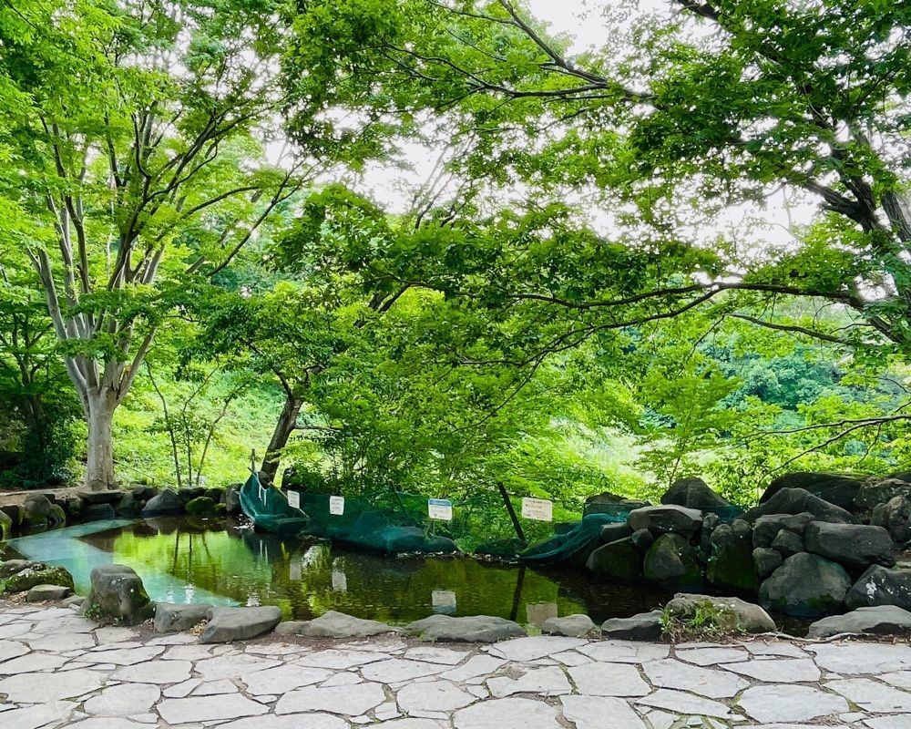 active34さんが投稿した県立四季の森公園に関する口コミの画像