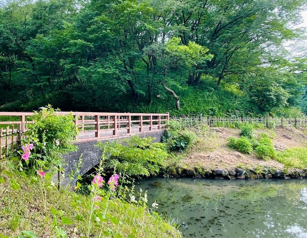 active34さんが投稿した県立四季の森公園に関する口コミの画像