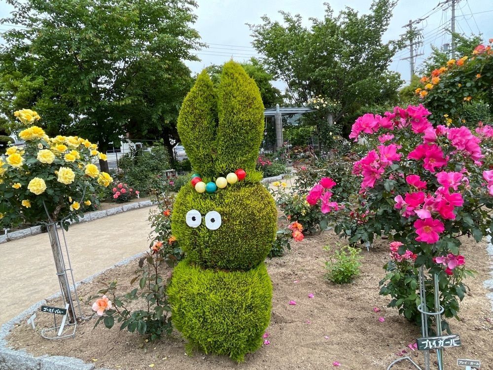 Yakorinさんが投稿した綾部バラ園に関する口コミの画像