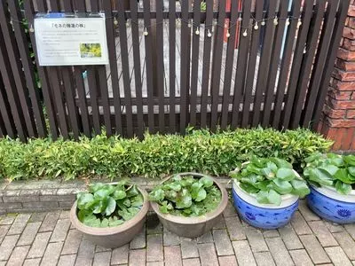 町立湯河原美術館 2枚目